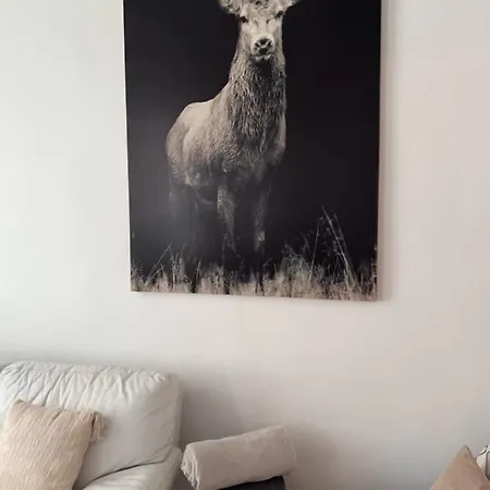 Apartment Bi Uns Chez Silvana Colmar
