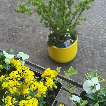 Bi Uns Chez Silvana * Colmar