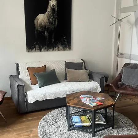 Bi Uns Chez Silvana Apartment Colmar