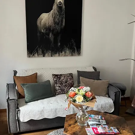 Apartment Bi Uns Chez Silvana Colmar