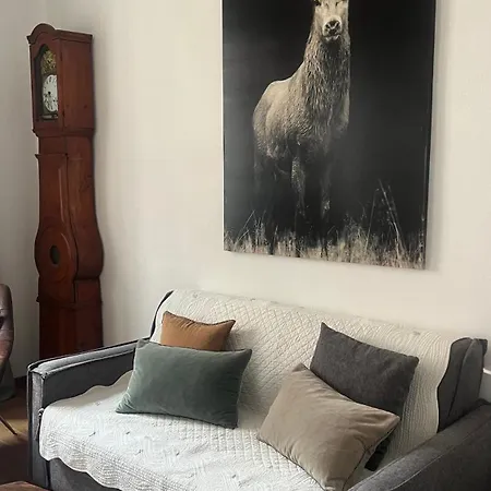 Bi Uns Chez Silvana Apartment Colmar