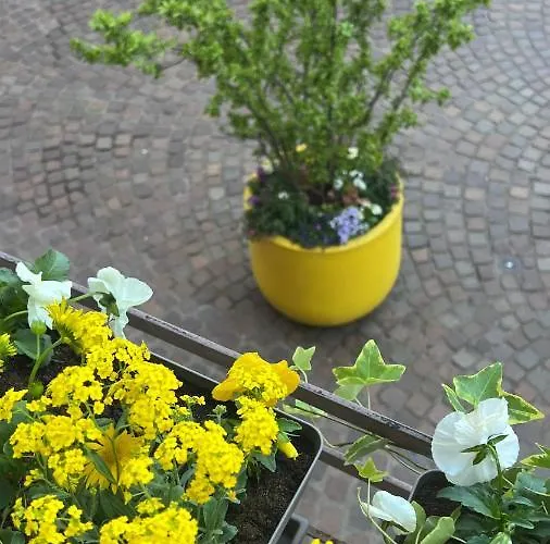 Bi Uns Chez Silvana * Colmar